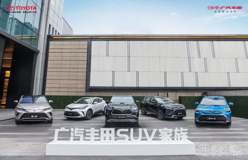 資訊丨一個吆喝產品力,一個渲染豪華感,廣豐suv雙子星駕臨重慶