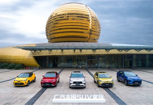 威颯 鋒蘭達雙車品鑒暨廣汽豐田suv家族群星薈