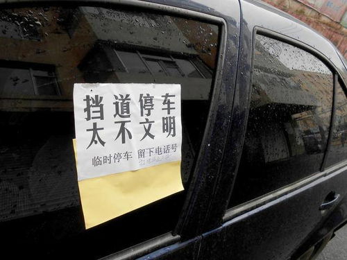 新車剛落地,哥們來參觀,建議我裝上這4樣車品,比記錄儀重要